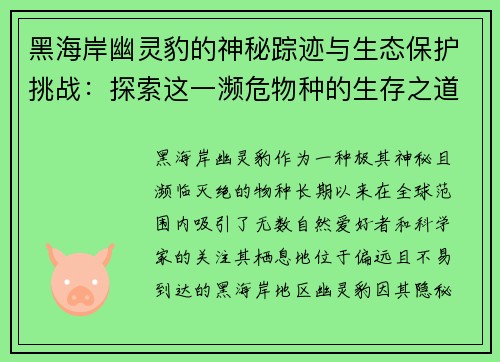 黑海岸幽灵豹的神秘踪迹与生态保护挑战：探索这一濒危物种的生存之道